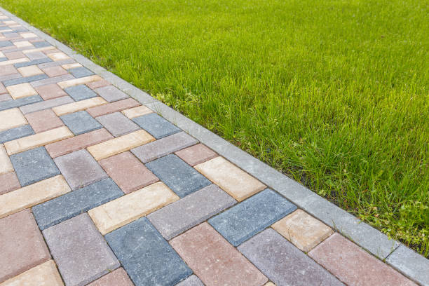 Best Driveway paver repairs and maintenance in Mcewen, TN